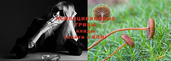 ГАЛЛЮЦИНОГЕННЫЕ ГРИБЫ Зеленокумск