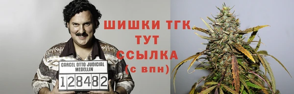 тгк Зеленодольск