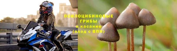 ГАЛЛЮЦИНОГЕННЫЕ ГРИБЫ Зеленокумск