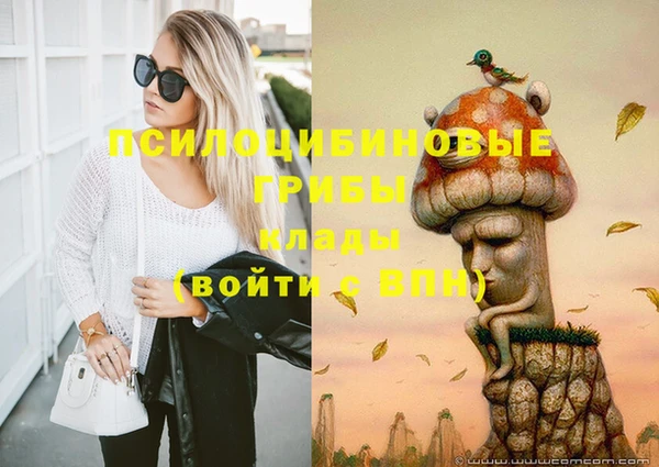 тгк Зеленодольск