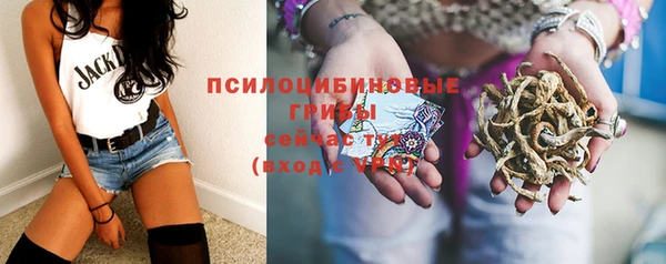 ГАЛЛЮЦИНОГЕННЫЕ ГРИБЫ Зеленокумск
