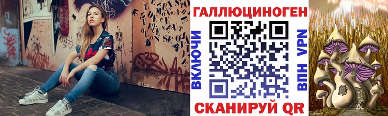 Купить где  Сегежа  Псилоцибиновые грибы Psilocybine cubensis 